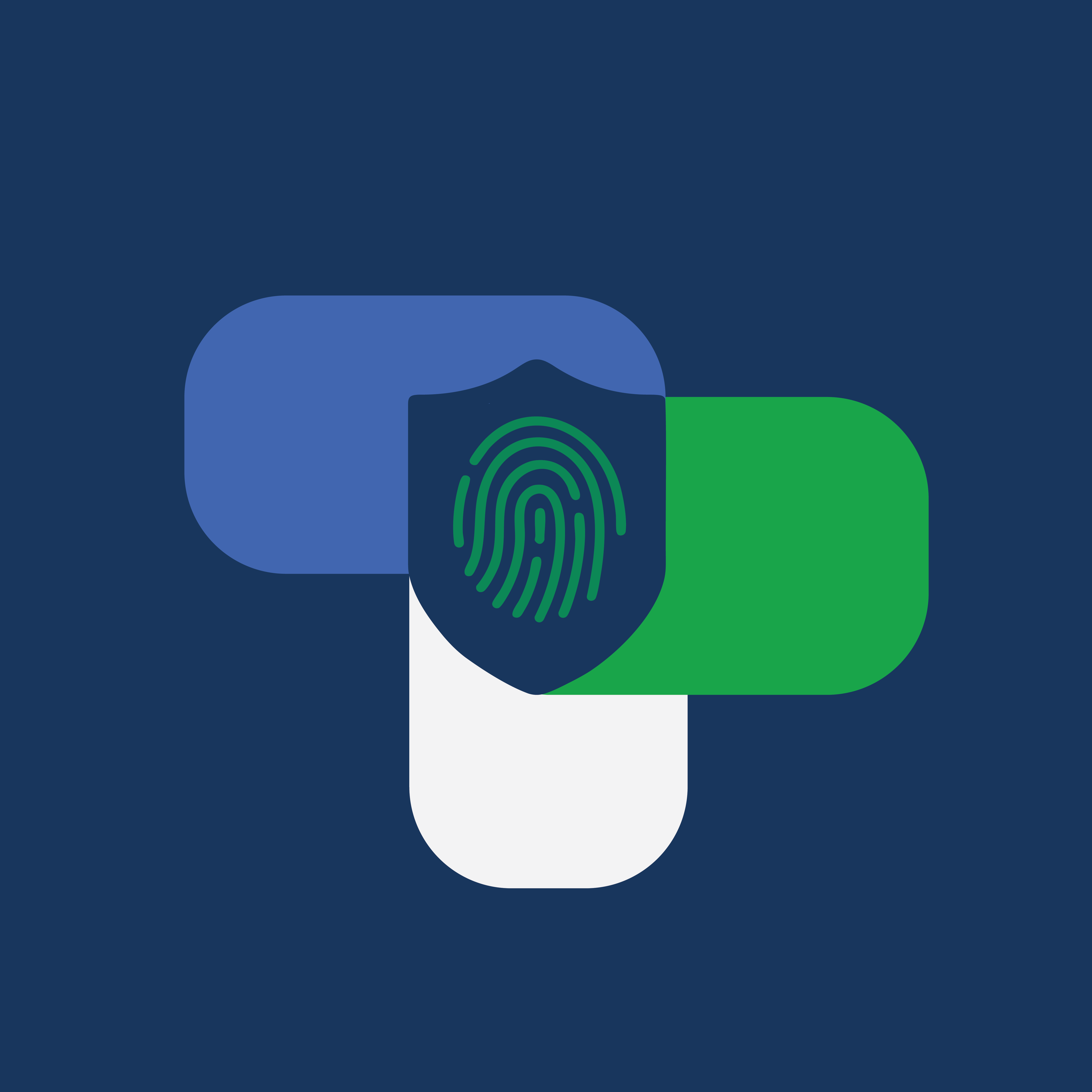 SecurEcommerce logo